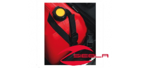 FUEL CAN MOUNT STRAPS BY POLARIS