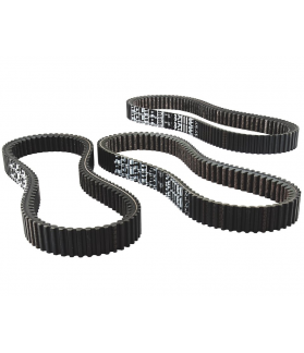FILTRO DE AIRE (RZR ® 570)