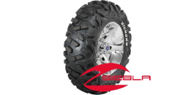 VADER 14" RIM WITH MAXXIS BIG HORN TIRE KIT