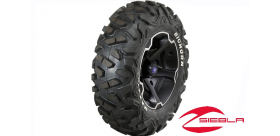 VADER 14" RIM WITH MAXXIS BIG HORN TIRE KIT