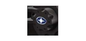 REPLACEMENT CENTER CAP - LUSTER