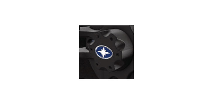 REPLACEMENT CENTER CAP - LUSTER