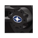 REPLACEMENT CENTER CAP - LUSTER