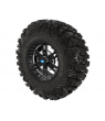 PRO ARMOR CRAWLER XG TIRE WITH BUCKLE WHEEL- ACCENT