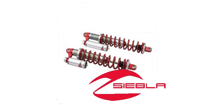 WALKER EVANS REAR SHOCK BY POLARIS - Polaris Accesorios y Recambios