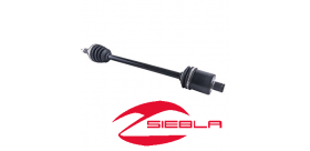 FILTRO DE AIRE (RZR ® 570)