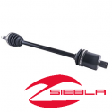 FILTRO DE AIRE (RZR ® 570)