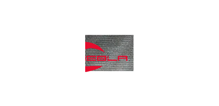 FILTRO DE AIRE (RZR ® 570)
