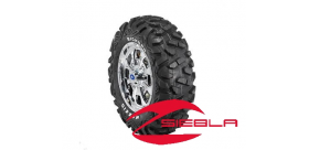8 SPOKE XP 14" RIM WITH MAXXIS BIG HORN KIT