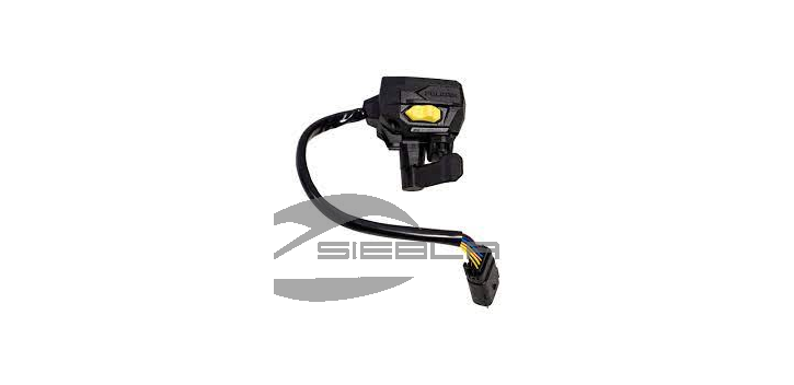 CONJUNTO DE CONTROL DEL ACELERADOR
