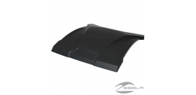 Poly Sport Roof, Black RZR PRO