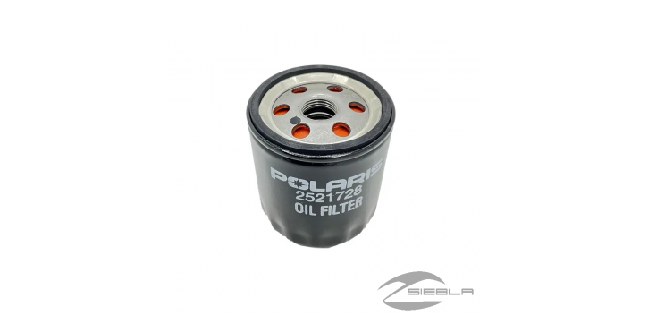 FILTRO DE ACEITE RZR PRO R