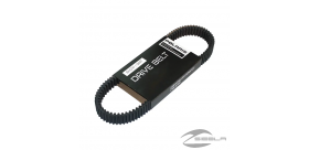 FILTRO DE AIRE (RZR ® 570)