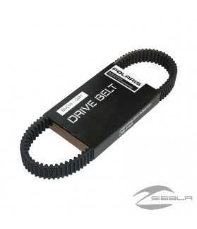 FILTRO DE AIRE (RZR ® 570)