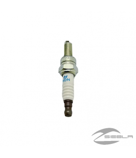 POLARIS SPARK PLUG 10MM
