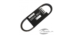 V-BELT