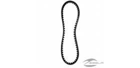Drive Belt