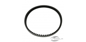 Driven Belt