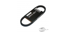 FILTRO DE AIRE (RZR ® 570)