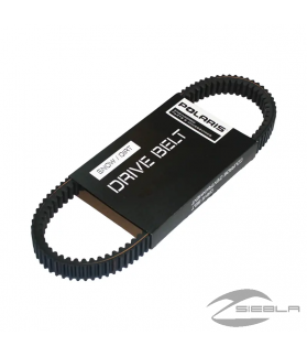 FILTRO DE AIRE (RZR ® 570)