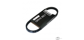 DRIVE BELT POLARIS SPORTSMAN® 700, 600, 500 3211091