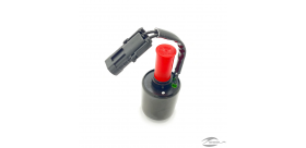 SOLENOID POLARIS