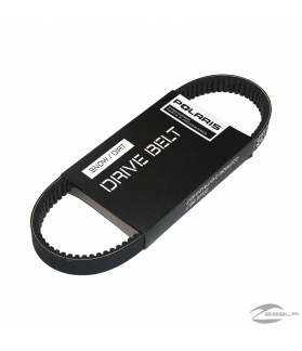 DRIVE BELT