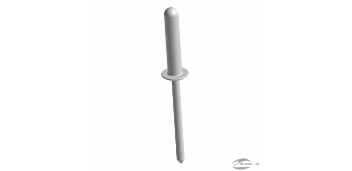 RIVET