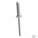 RIVET