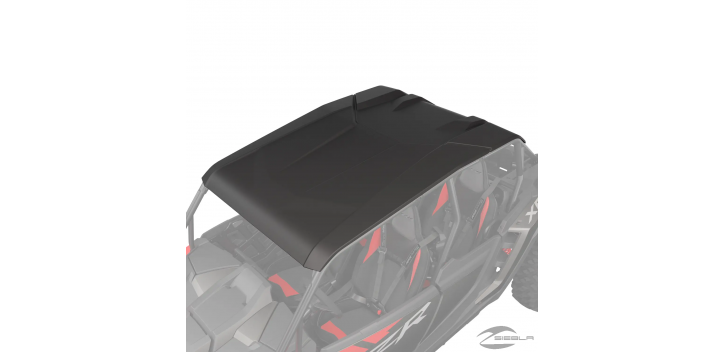 Polycarbonate Sports Roof, 4 Seats