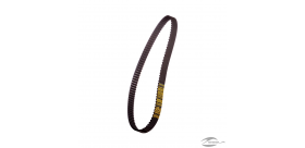 DRIVE BELT BY RANGER DIESEL